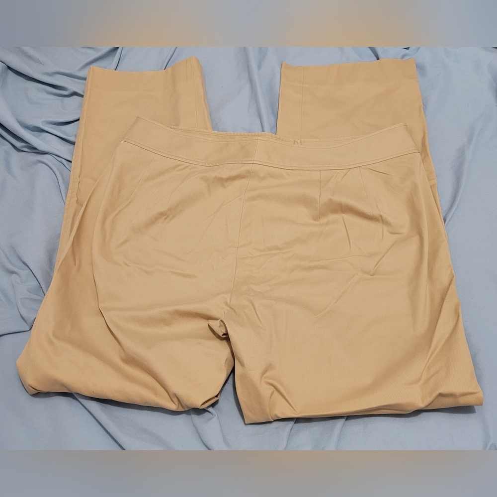 Flat Front Pant - image 2